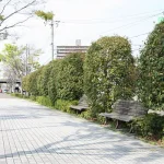 新保で風俗をお探しの方