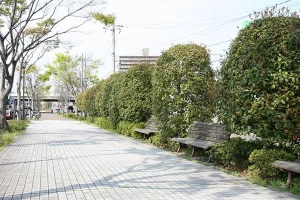 岡山市南区新保
