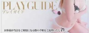 デリヘルプレイガイド